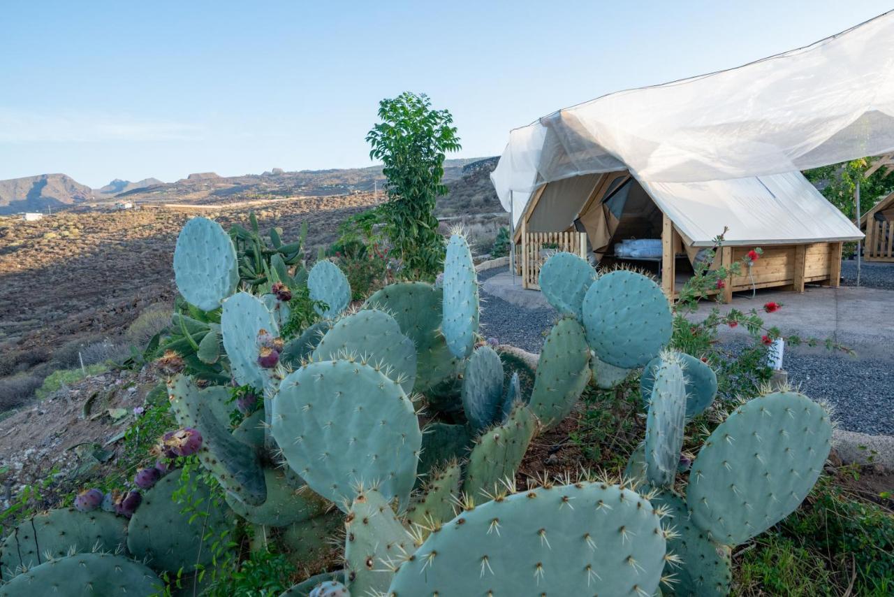 기아데이소라 Finca Gaia La Segunda 게스트하우스 외부 사진