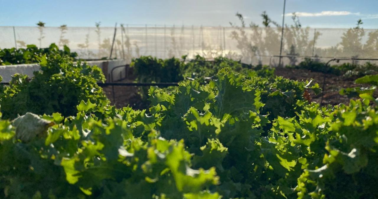 Finca Gaia La Segunda 기아데이소라 외부 사진
