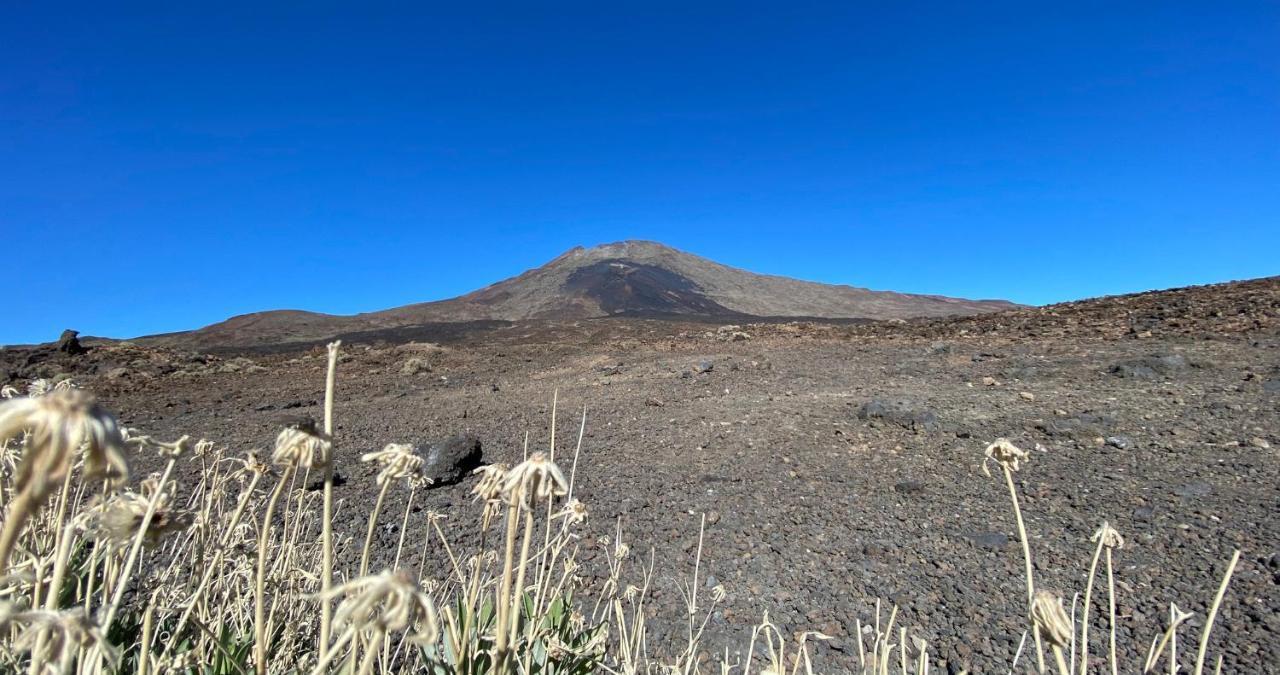 기아데이소라 Finca Gaia La Segunda 게스트하우스 외부 사진