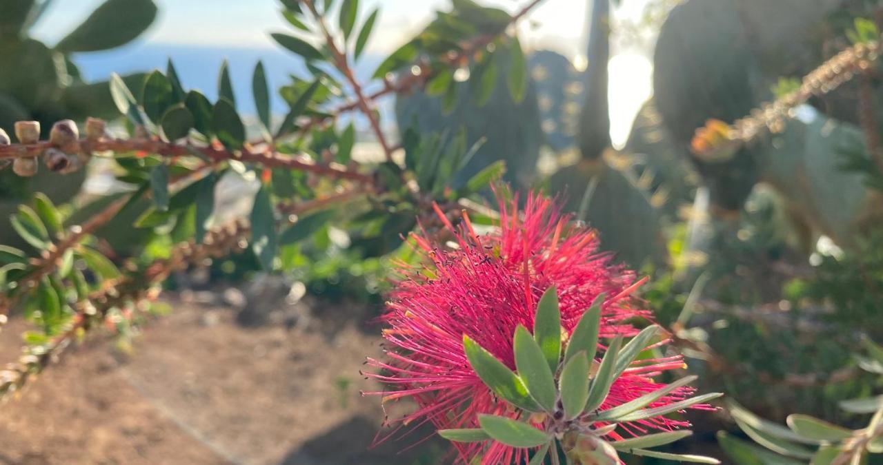 Finca Gaia La Segunda 기아데이소라 외부 사진