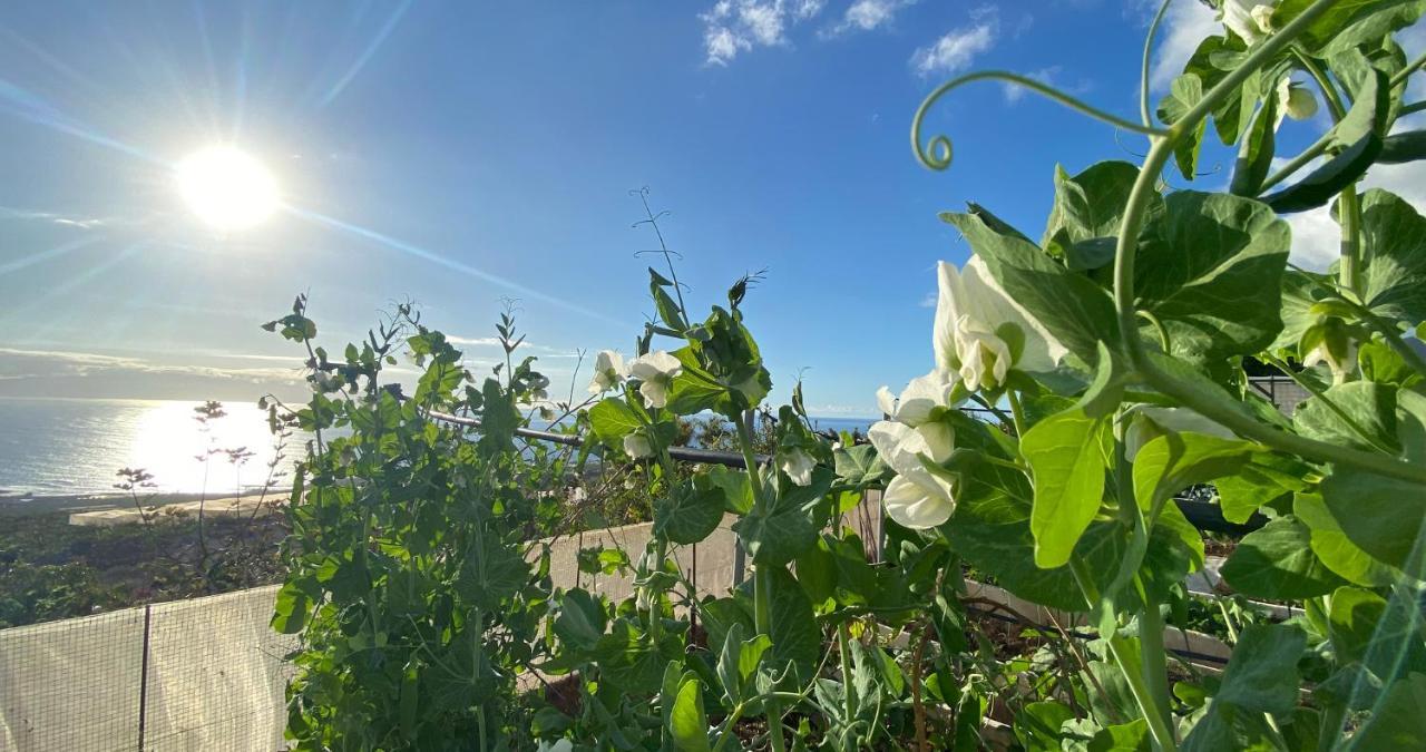 기아데이소라 Finca Gaia La Segunda 게스트하우스 외부 사진