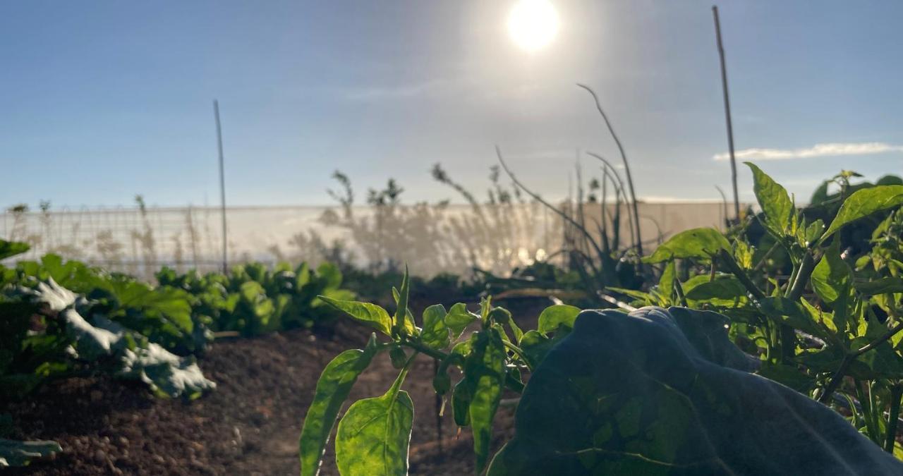 Finca Gaia La Segunda 기아데이소라 외부 사진
