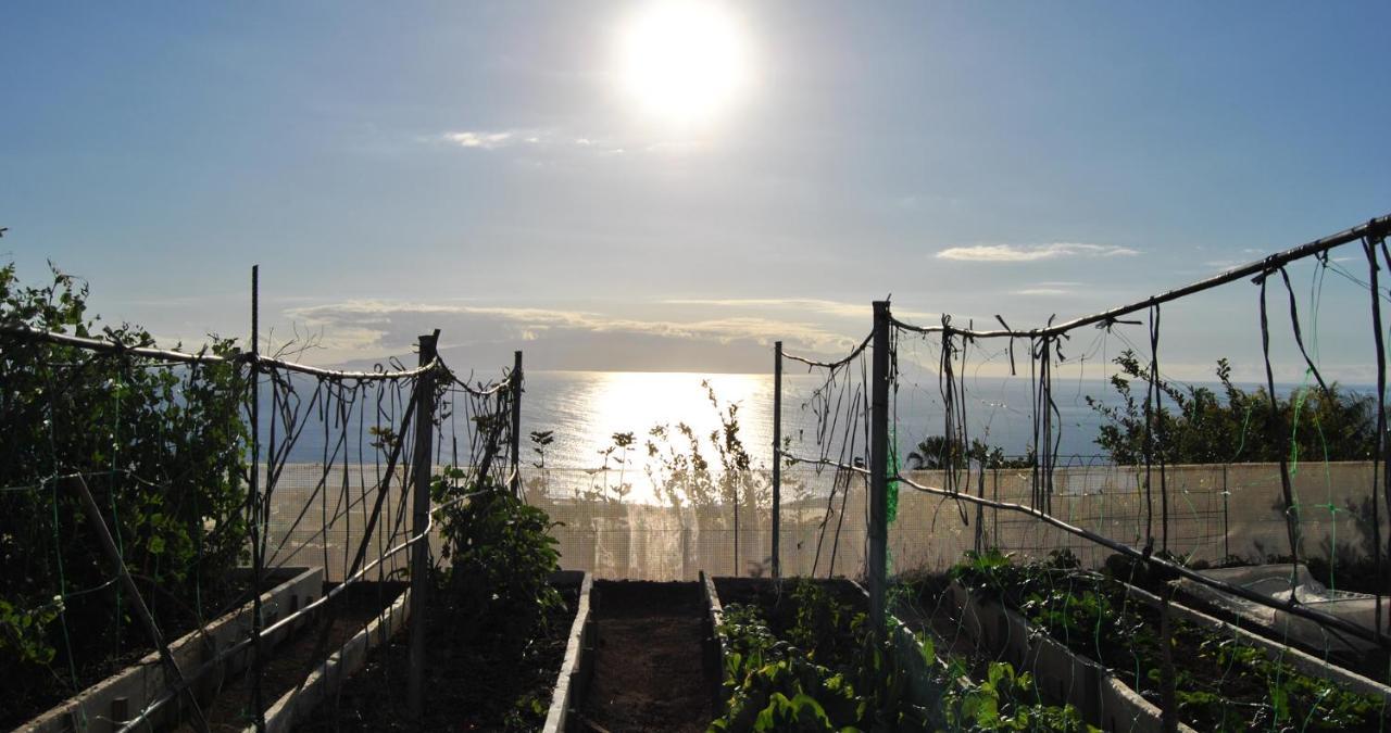 기아데이소라 Finca Gaia La Segunda 게스트하우스 외부 사진