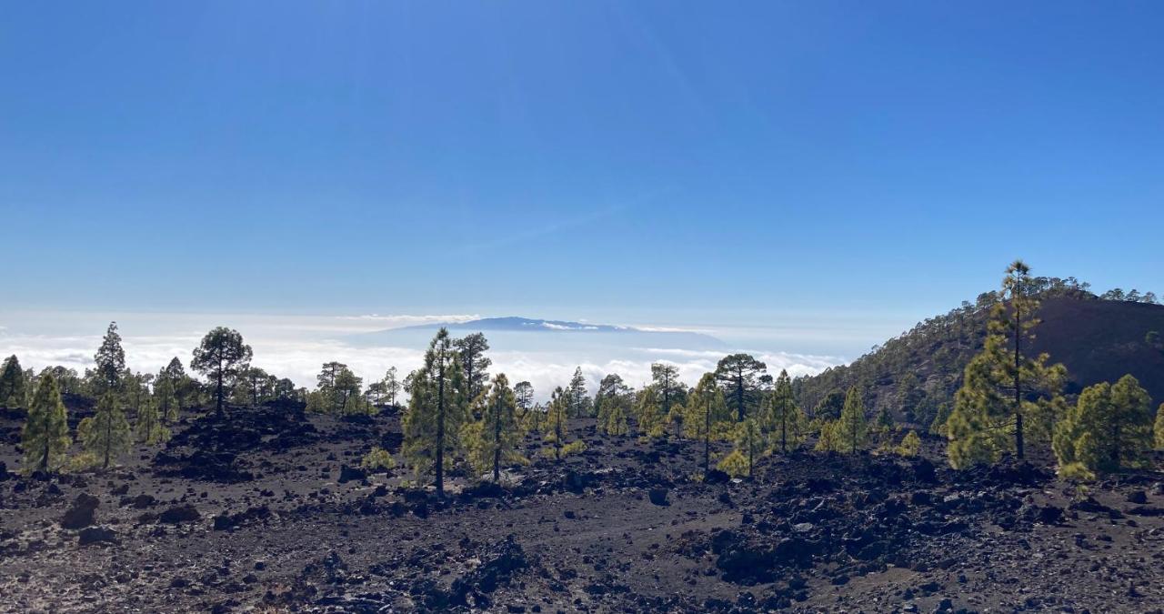 기아데이소라 Finca Gaia La Segunda 게스트하우스 외부 사진